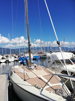 Bavaria 808 - 6