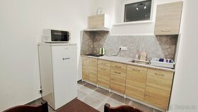 Ubytování Otsar v Plzni vhodné i pro firmy - 6
