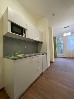 1+kk Sázava byt k pronájmu - 6