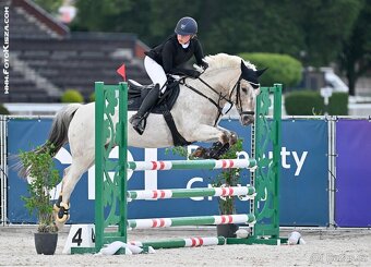 Pony valach do sportu - 6