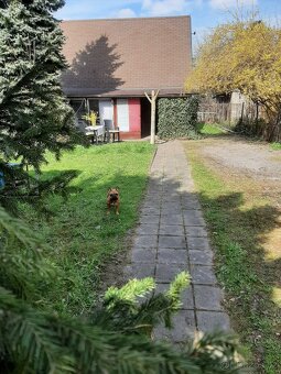 Prodej zahrady s chatkou v Ostravě-Kunčicích - 6
