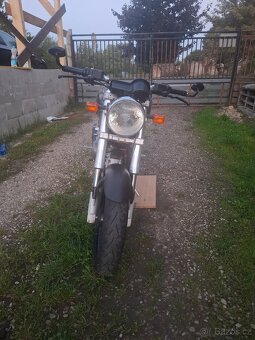 Ducati monster dark 600 - 6