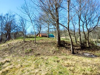 Stavební parcela vč. st. povolení, sad, louka 26 074 m2 - 6