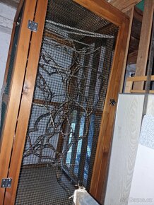 Terárium a flexárium - 6