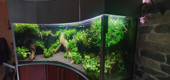 Rohové akvárium - 1000 l - 6