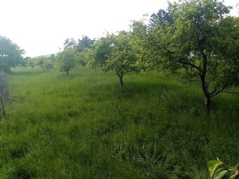 Prodám  stavební  pozemek (zahradu) výměra 4130m2 - 6