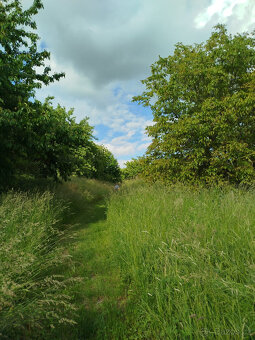 louka na sušení sena - 6