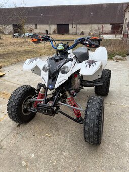 Polaris Predator 500 - 6