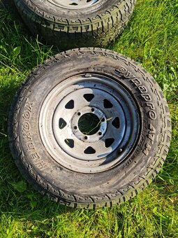 Kola Mangels R16 - 6