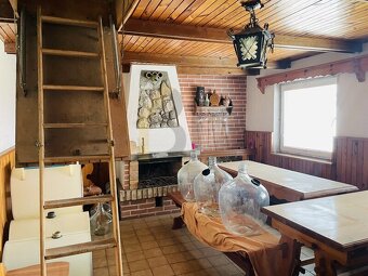 Prodej vinného sklepa, Dolní Bojanovice - 6