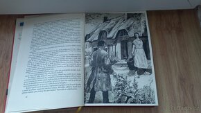 PANÍ BOVARYOVÁ-Gustave Flaubert Mravy francouzského venkova - 6