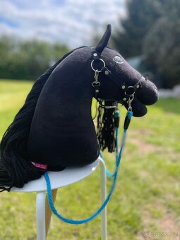 Hobby horse - 6