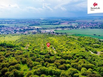 Prodej sadu, vinice 3876 m2, Židlochovice - 6