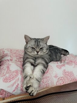 Daruji-rezervace - 6