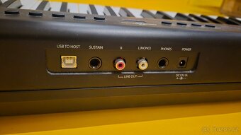 Klávesy Gear4Music SDP-1 - 6