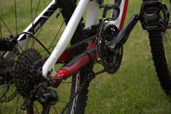 Specialized Expert Celoodpružené - 6