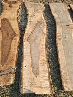 Ořechové fošny - 6