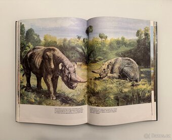Kniha o pravěku - Zdeněk V. Špinar, ilustroval Zdeněk Burian - 6