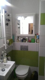 Pronajmu malý byt 1+kk 24m2 s balkonem v Praze Žižkov - 6
