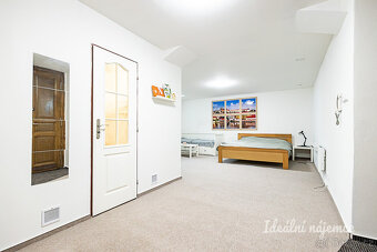 Pronájem bytu 1+kk, Mánesova, Vinohrady, 17900 Kč/měs, 63 m2 - 6