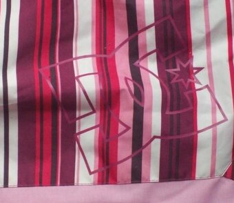 Dívčí zimní teplá lyžařská snowboardová bunda DC - 6