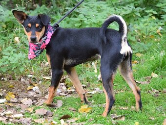 Vitalina rezervace - 6