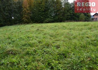 Prodej stavebního pozemku s lesem 3332m2 na Karpentné - 6