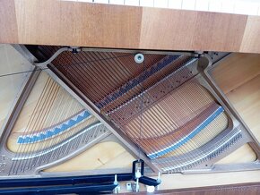 Rezervace/Prodám pianino Schimmel-Dovoz po ČR zdarma - 6