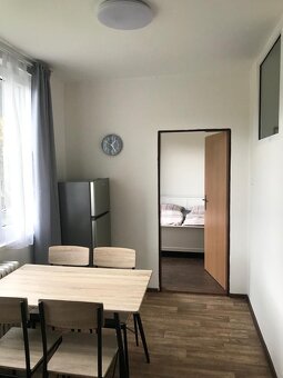Pronájem bytu 3+kk, Červená Voda - 6
