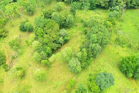 Farmy Kostarika Rio Claro - 6