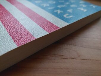 Radek John - Jak jsem viděl Ameriku - dokument, sociálně - 6