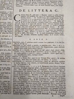 Kniha Septem Linguarum Calepinus Lexikon Latinum, Rok 1794 - 6