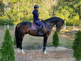 Hľadám nový domov #Karan - 6