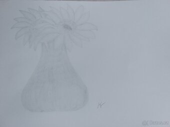 Obrázky obrazy kresby kreslení - 6