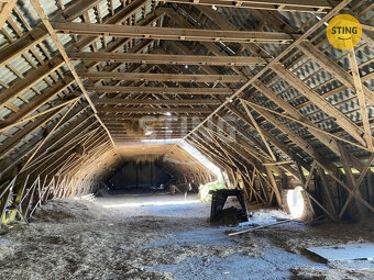 Komerční objekt na prodej s pozemkem 4504m2, Borušov, 133519 - 6