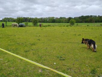 Venkovní ustájení Praha 4 - 6