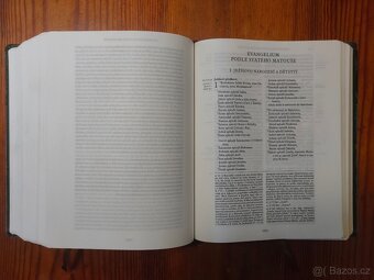 Velká Jeruzalémská Bible - 6