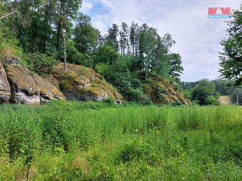 Prodej louky, 1003 m², Vysoká - 6