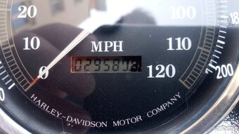 Harley Davidson FLSTN - 6