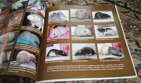 Abeceda chovatele potkan + Abeceda chovatele křeček zlatý - 6