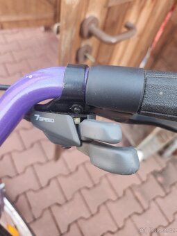 Pánské jízdní kolo Schauff - 6