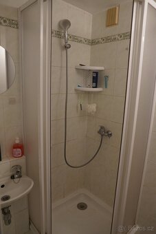 Pronajmu 1+KK Sokolovká Plzeň - město - 6