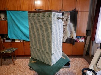 Chladící box na pivo. - 6