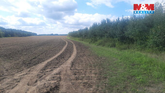 Prodej lesa, 108447 m², Březovice - 6