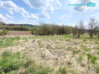 Prodej, stavební pozemek, 5800 m², Planá u M. Lázní - 6