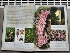 Prodám knihu TO NEJZAJÍMAVĚJŠÍ Z ČESKÉ PŘÍRODY - 6