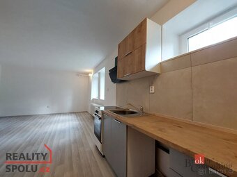 Pronájem, byty/1+kk, 30 m2, Podkrušnohorská 1618, Horní Litv - 6