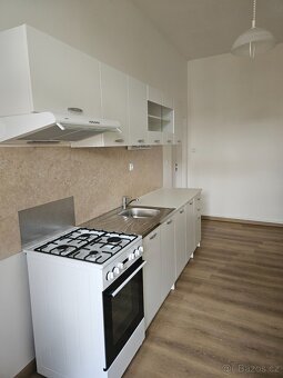 Pronájem 1+1 tř. Kpt. Jaroše, Brno - 6