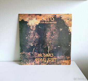 LP gramofonové desky I - 6