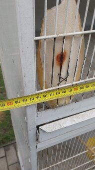 Voliera tři kusy + podvozek - 6